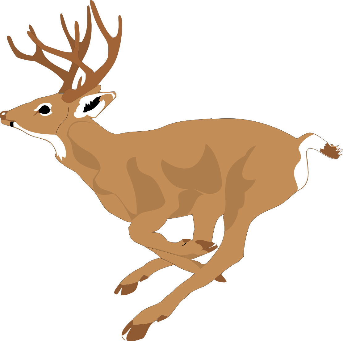 Mule deer clip art
