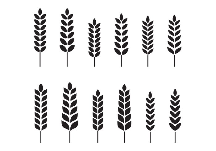 Free Wheat Vector - Download Free Vector Art, Stock Graphics & Images