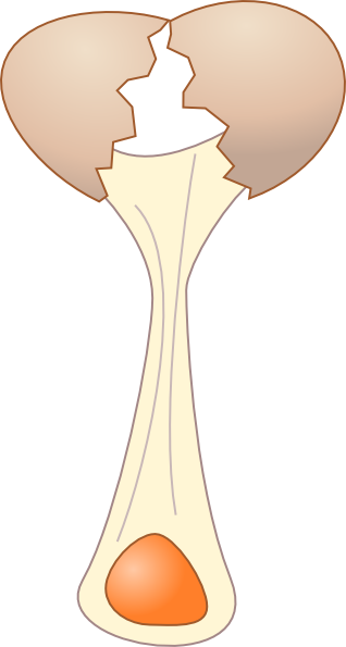 Broken Egg Clip Art - vector clip art online, royalty ...