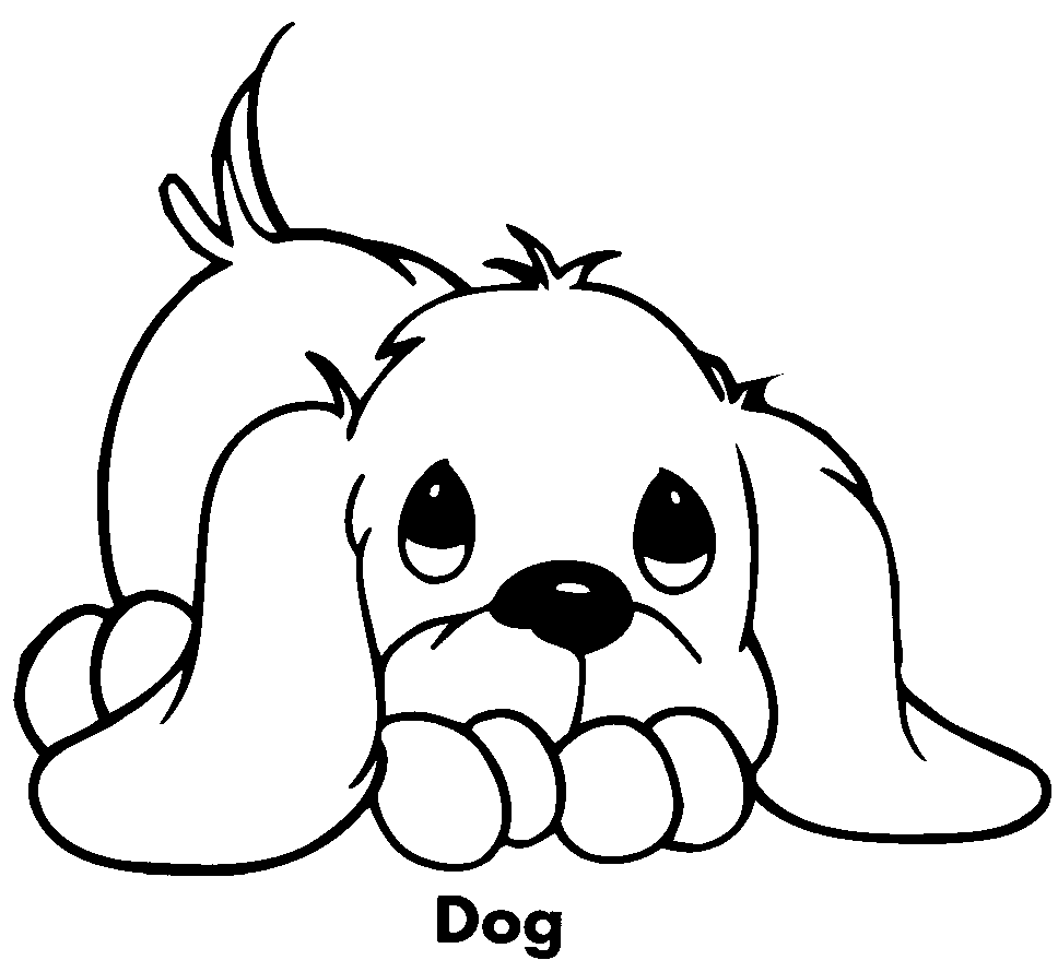 Dibujos Facil Para Colorear de Animales | Dibujos de Autos