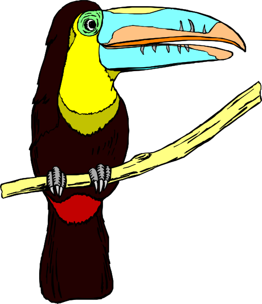 Toucan Clip Art - Tumundografico