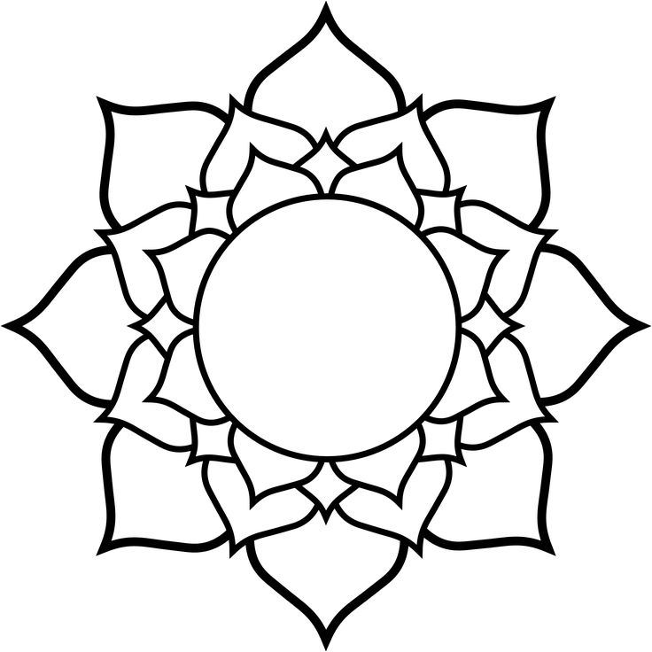 1000+ images about Lotus Flowers