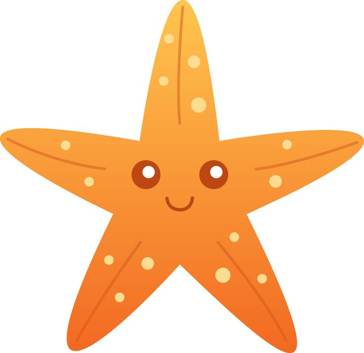 Cartoon Starfish | Illustrations ...