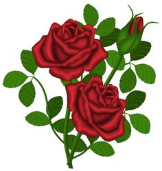 Red roses clipart picture - dbclipart.com