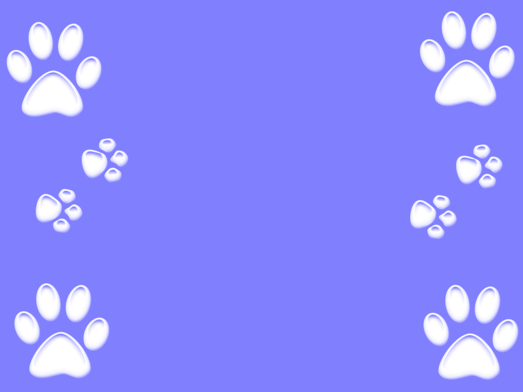 Dog Paws Wallpaper