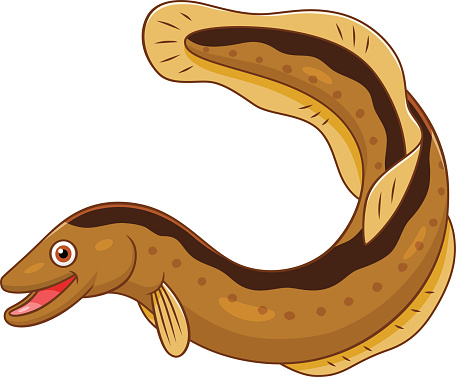 Saltwater Eel Clip Art, Vector Images & Illustrations