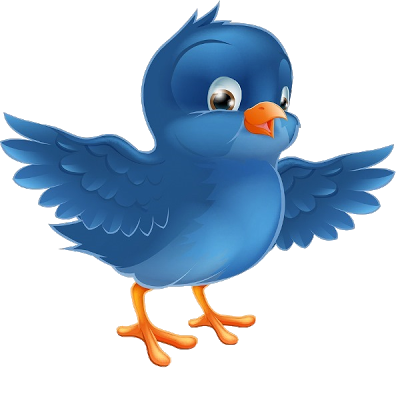 Blue Bird's - Bird Images