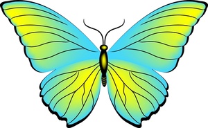 Butterfly Clipart - Free Clipart Images
