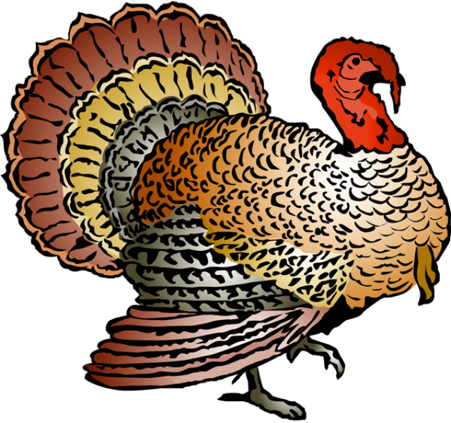Turkey Clipart - Dr. Odd
