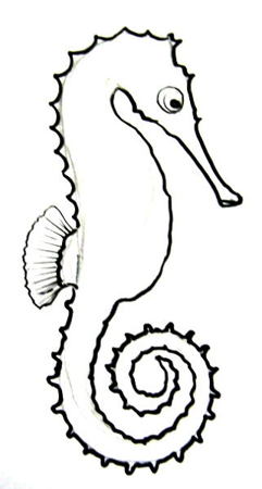 How to draw a Sea Horse