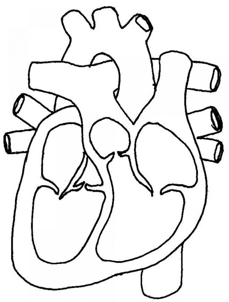 Black And White Heart Diagrams - Human Anatomy Library