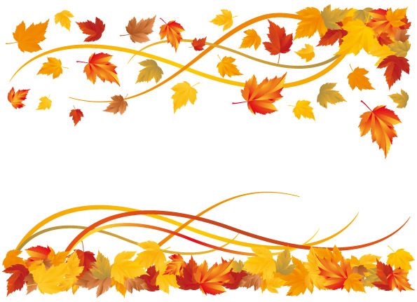1000+ images about fall leaves