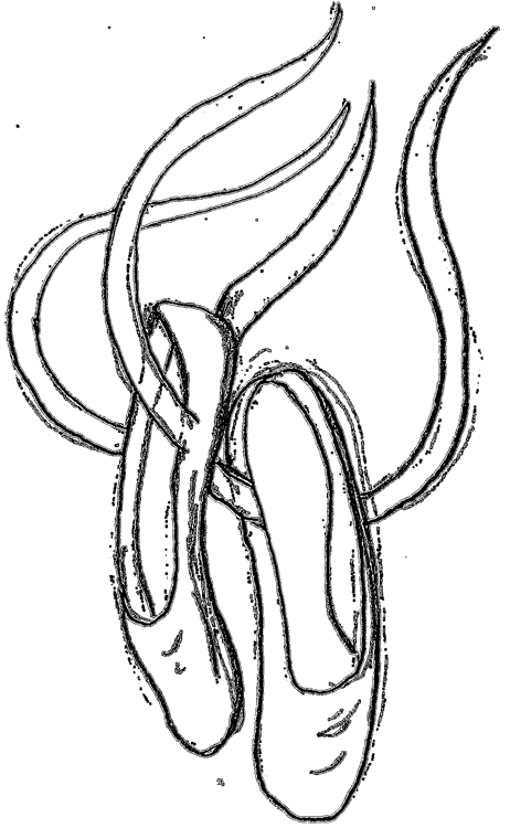 Ballet slipper clipart
