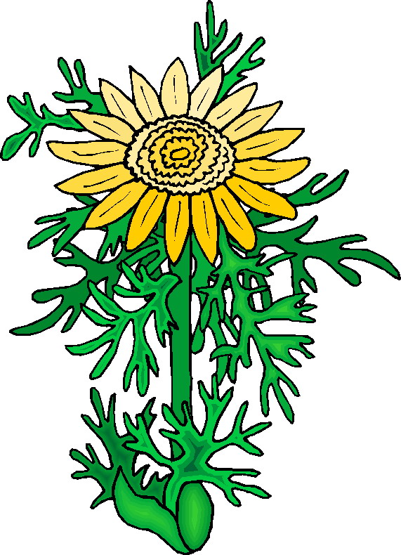 Clip Art - Clip art plants 345208