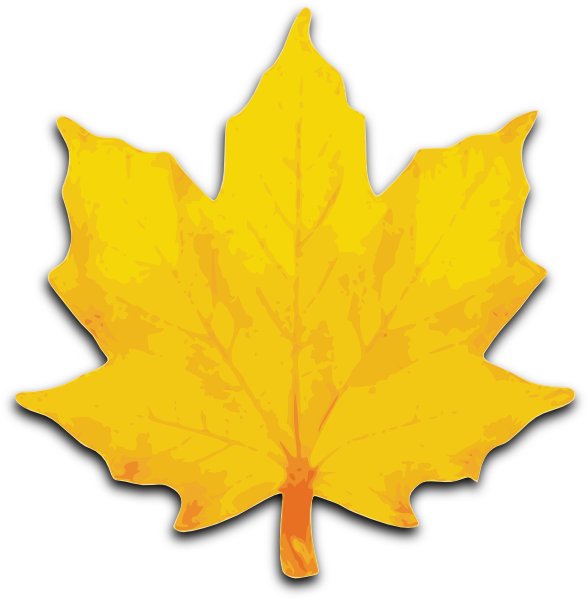 Orange Maple Leaf clip art - vector clip art online, royalty free ...