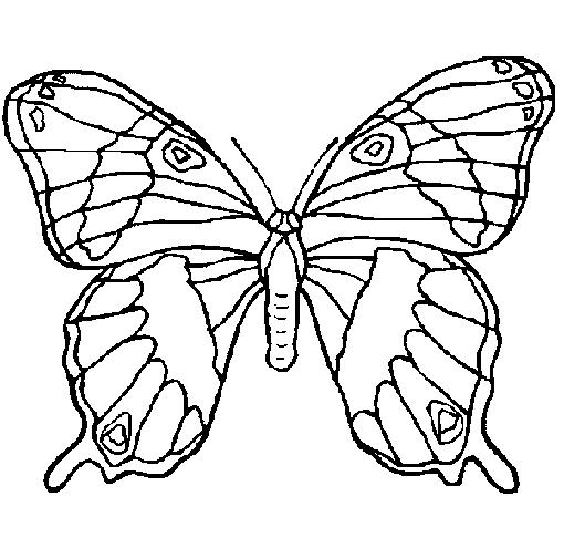 949 views CCTC Technology Projects