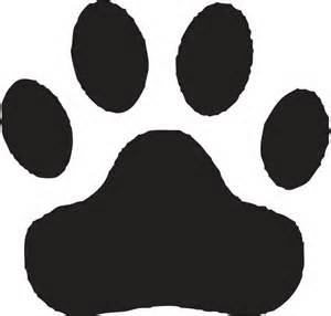 Bears Clip Art Panda Lil Bear Birthday Wishes