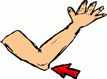 Elbow Clipart