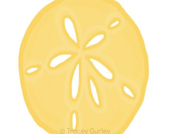 Sand dollar clipart | Etsy