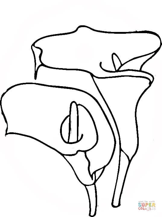 Easter Lilies coloring page | Free Printable Coloring Pages
