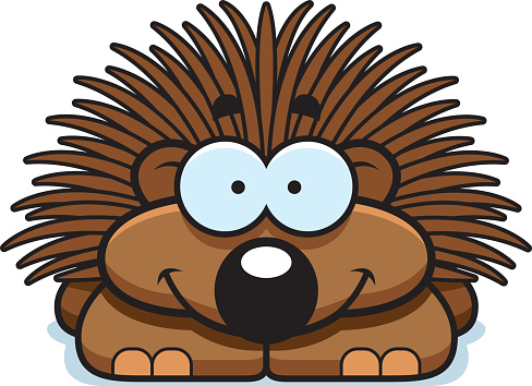 Porcupine Clip Art, Vector Images &amp; Illustrations