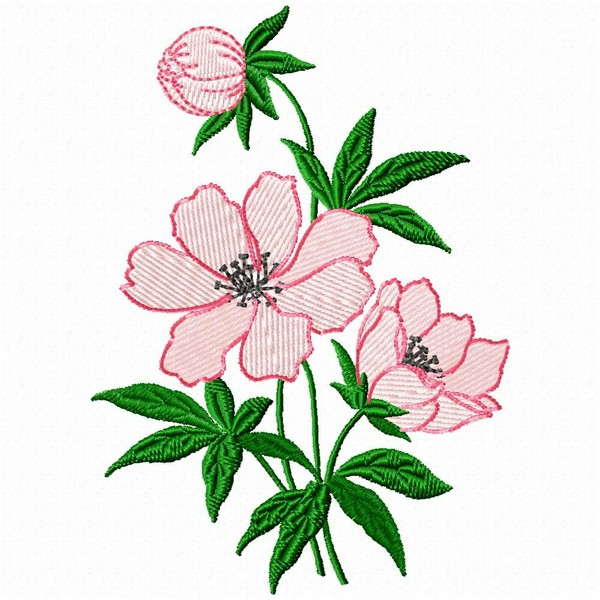 Simple Flower Border | Design images