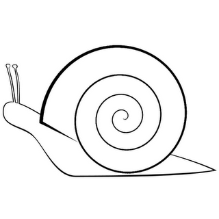 Snail Drawings - ClipArt Best