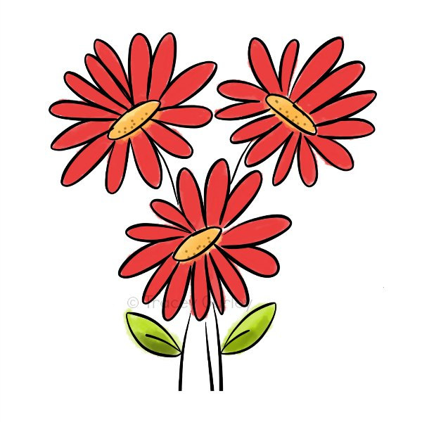 Gerber Daisy Drawing