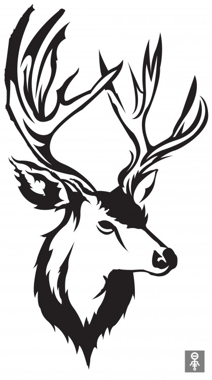 A Sticky Deer Head for Your Wall