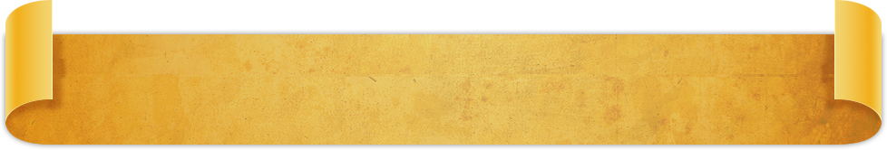 15271713.png