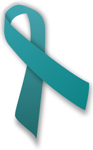 Jenn Sommermann: Triathlete for A Cure: September is Ovarian ...
