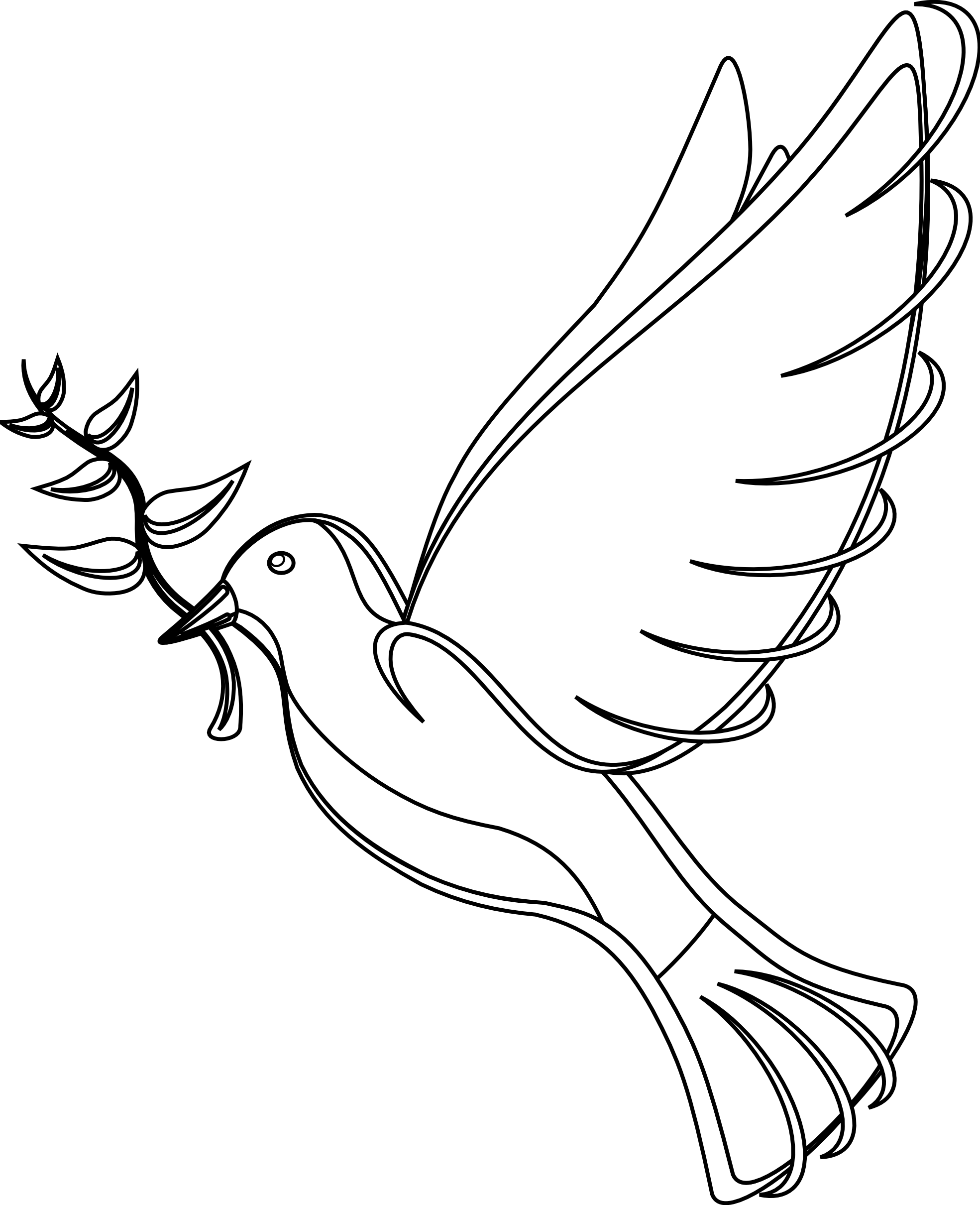 White Dove Clipart