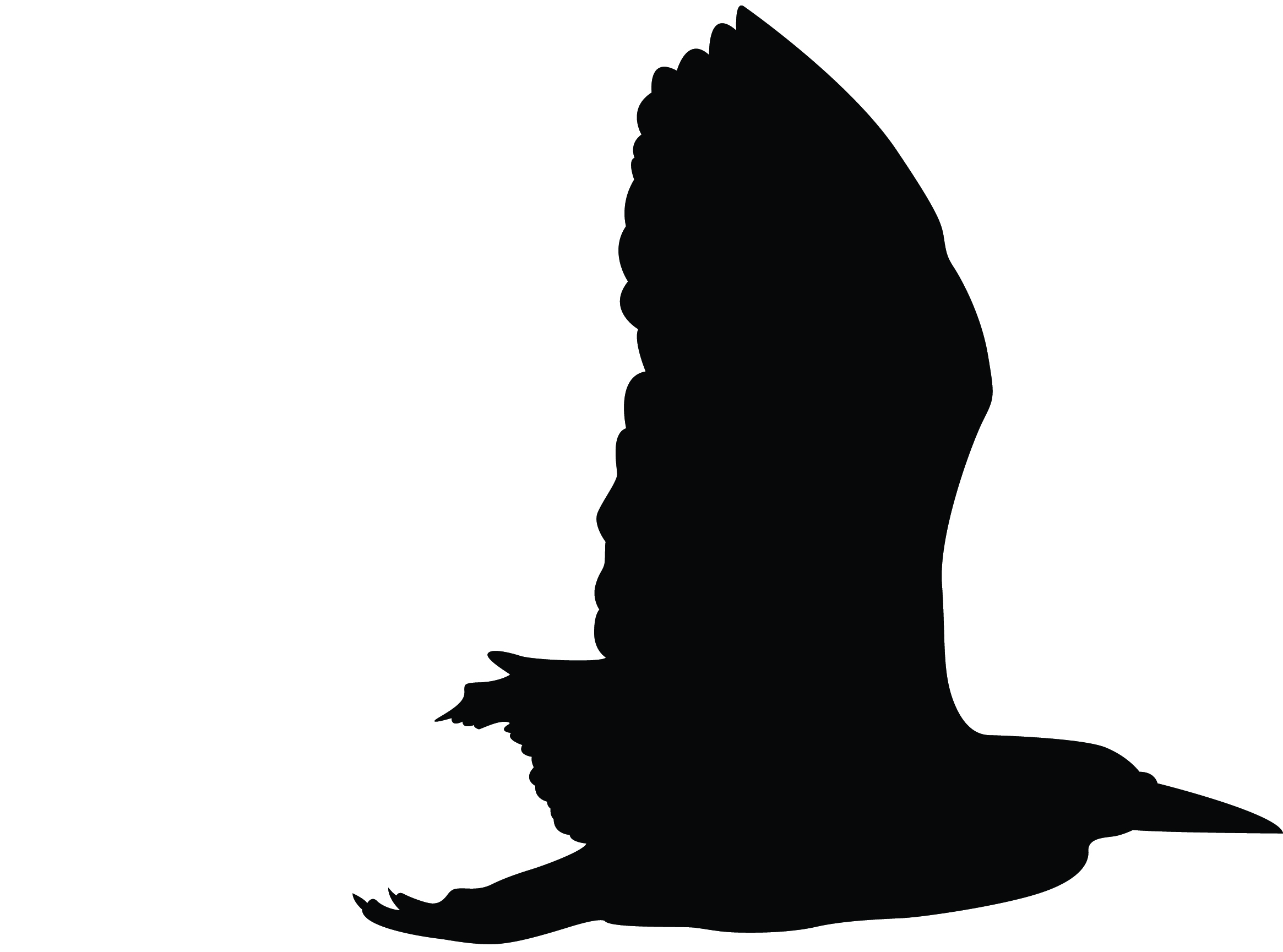 Black Bird Outline - ClipArt Best