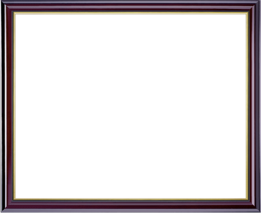 Custom Diploma Frames & Certificate Frames - Framing Success ...