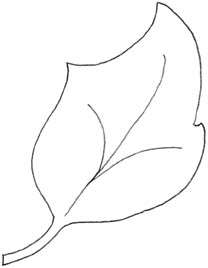 Chapter Craft Patterns | TSLAC