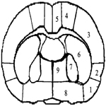 9591365f1th.jpg