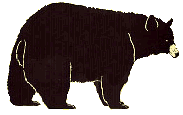 blackbear2.gif