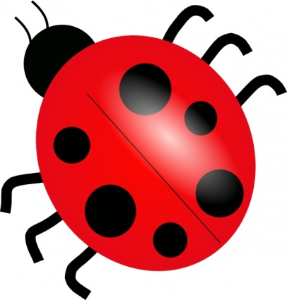 Animals Red Drawing Lady Cartoon Bugs Ladybug Bug Free Cute Insect ...