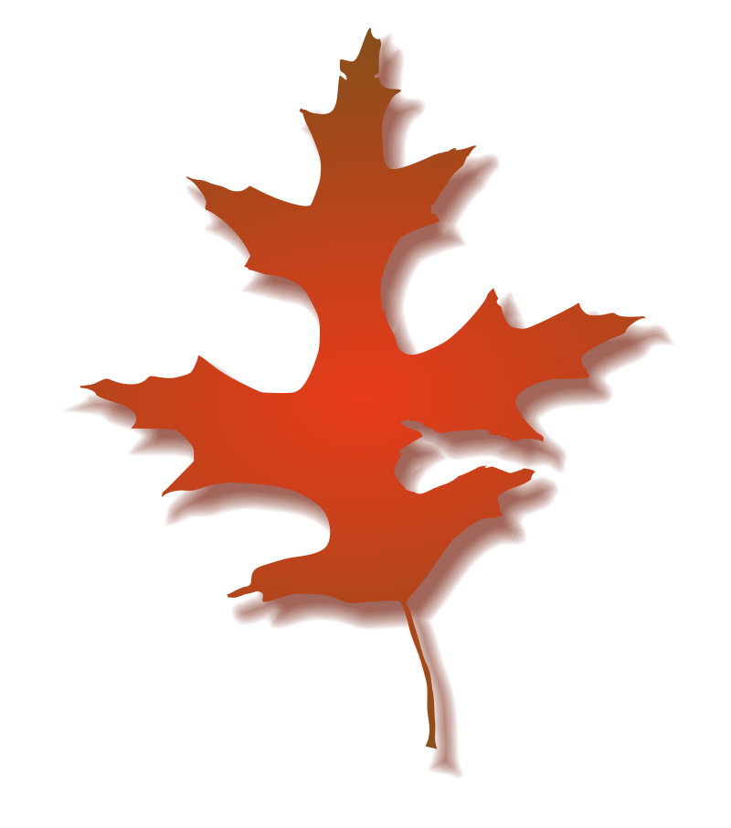Oak Leaf Autumn Clip Art