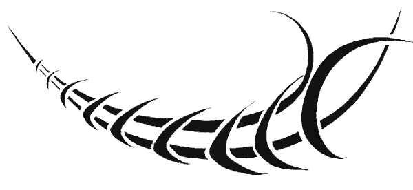 Armband slash Tribal