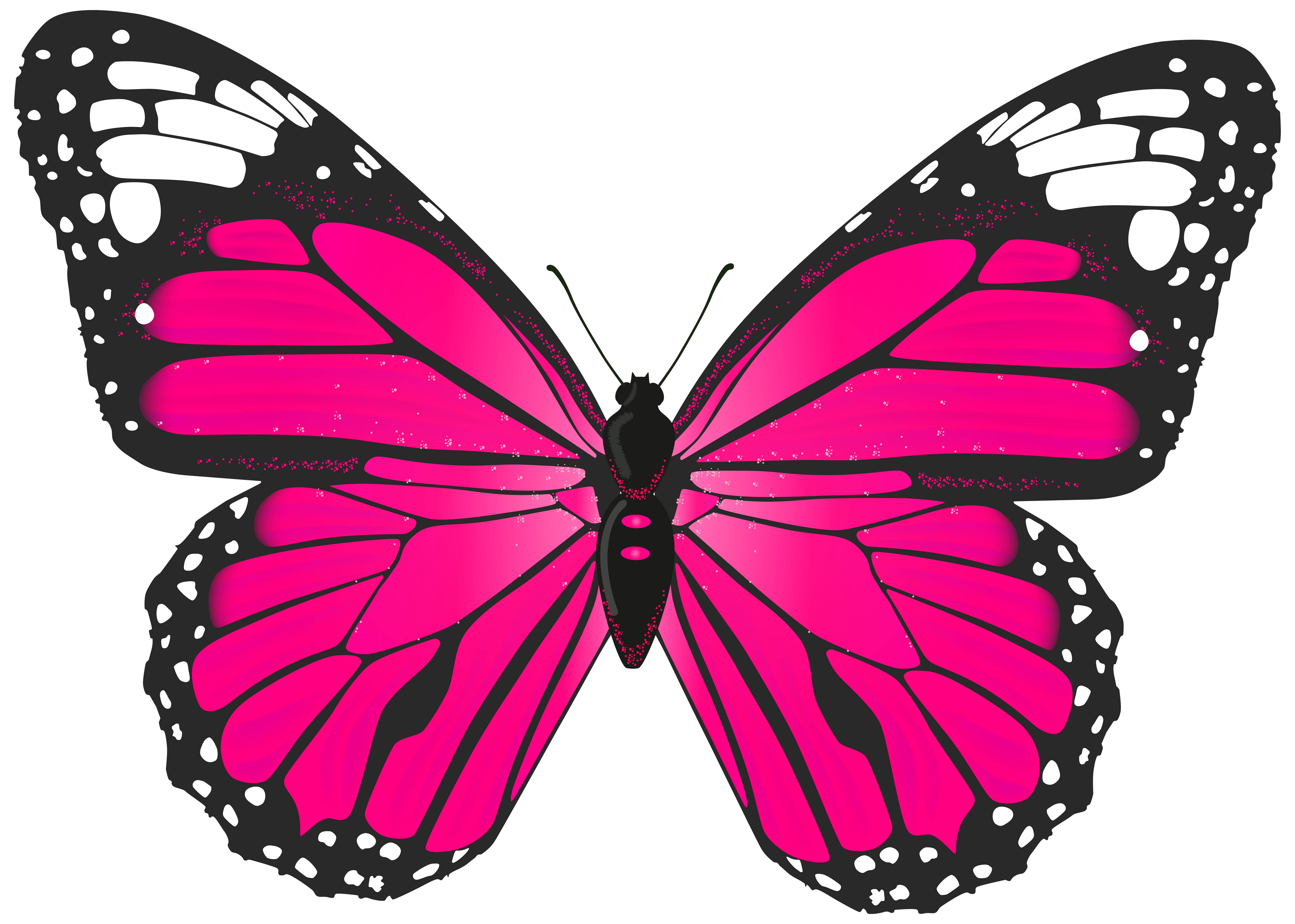 Pink Butterfly Clip Art - ClipArt Best