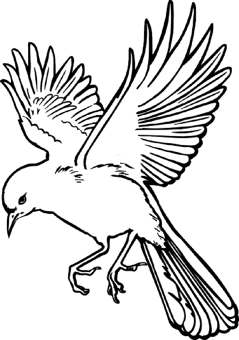 Fairy Wings Outline - Free Clipart Images