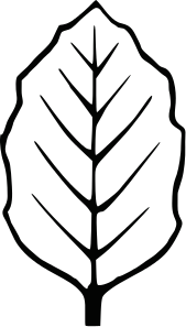 Leaf Outline Clipart - Free Clipart Images