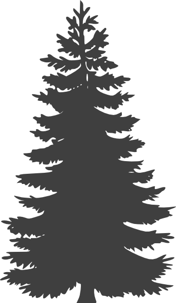 Vector Pine Tree