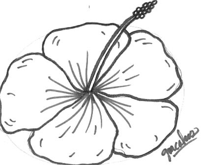 how to draw hibiscus Colouring Pages