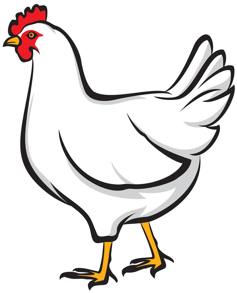 Vector Of Chicken - ClipArt Best