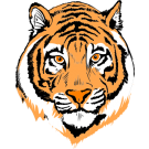 Tiger Face Clip Art