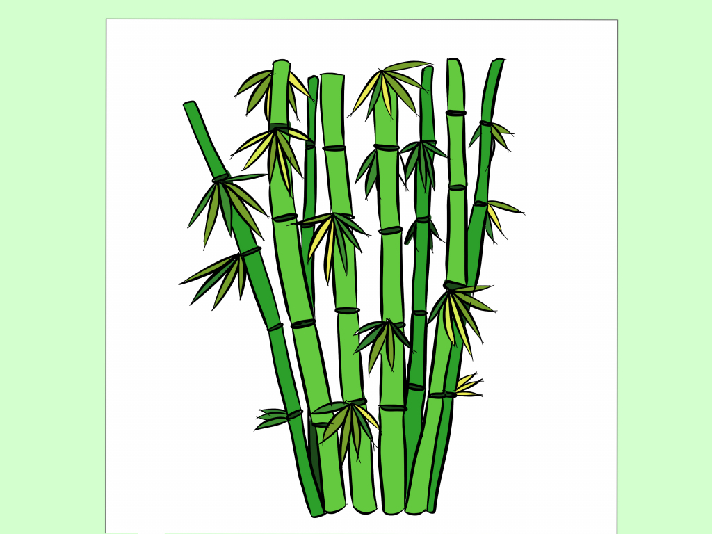 How To Draw A Bamboo Tree - Pencil Art Drawing
