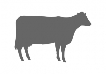 Animal Stencil Shapes - Custom Animal Stencils | Craftcuts.com