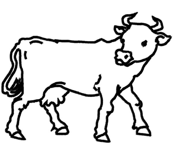 Picture Of Cow Outline - ClipArt Best
